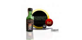 Mini botella de Passport whisky escocés 5CL 40 °