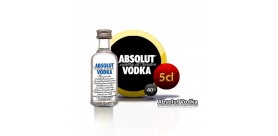 Miniature Absolut vodka in 5cl bottle.