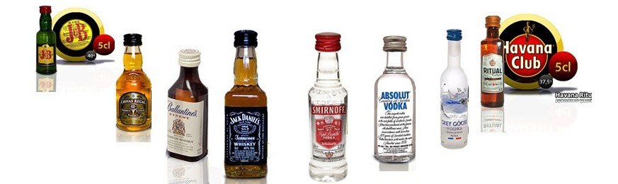 Flaschen Miniaturen Whisky Bourbons Wodka Ron